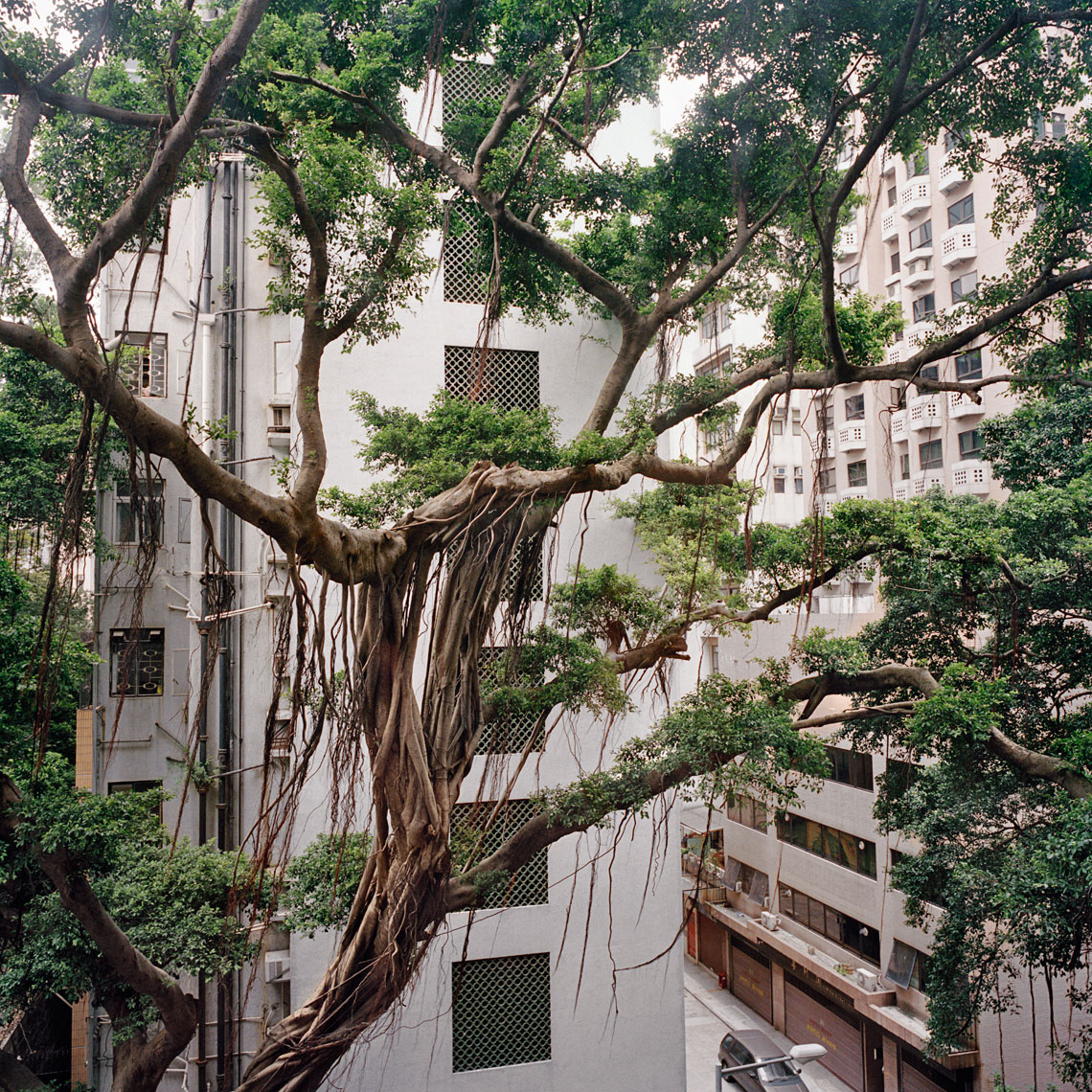 Kowloon, Hong Kong - Frances Juriansz Photography