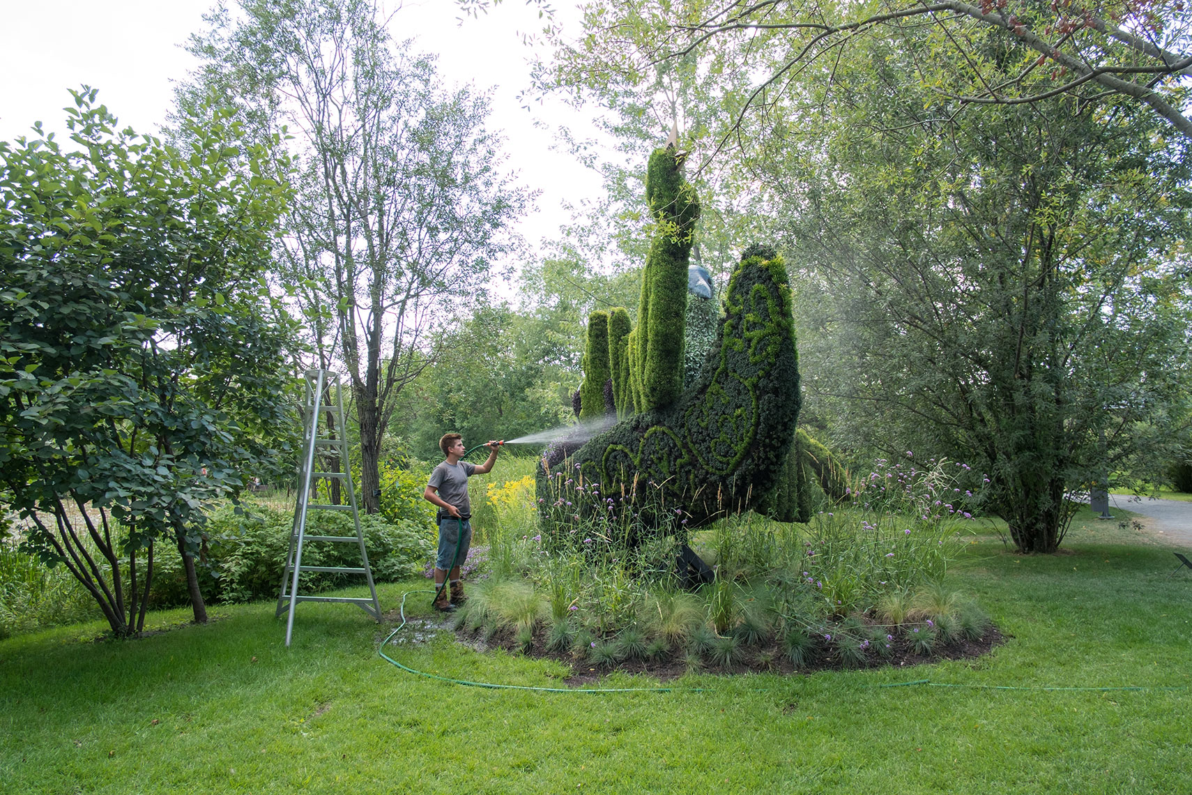 Montreal Botanical Garden - Frances Juriansz Photography